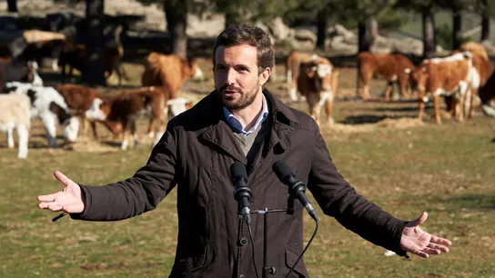 Pablo Casado, durante su visita a una explotación ganadera de extensivo en Las Navas del Marqués (Ávila) Pablo Casado, durante su visita a una explotación ganadera de extensivo en Las Navas del Marqués (Ávila)