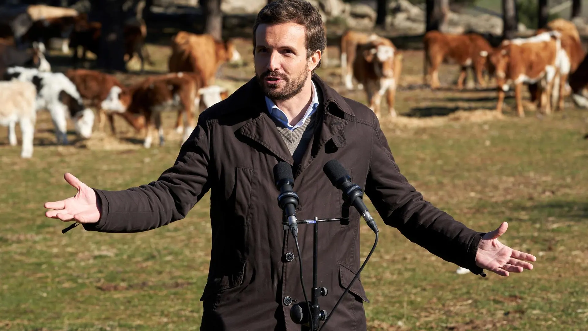 Pablo Casado, durante su visita a una explotación ganadera de extensivo en Las Navas del Marqués (Ávila)