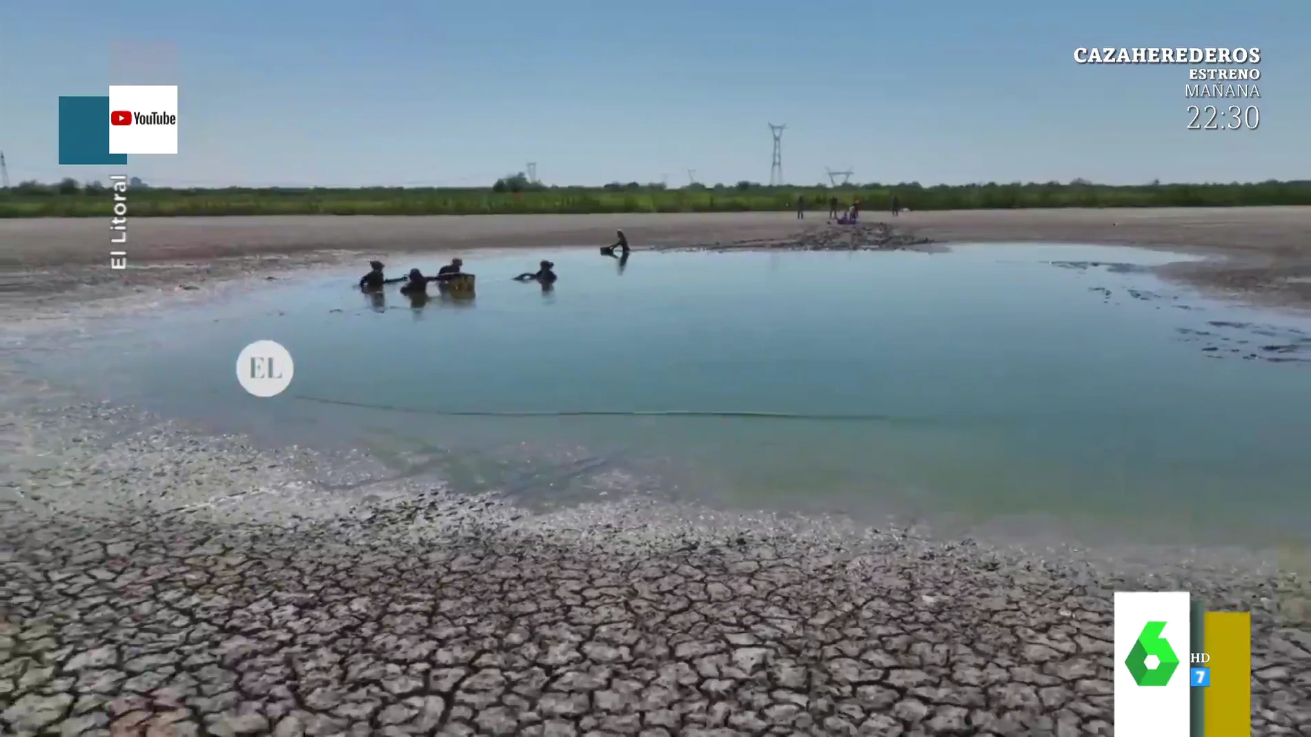  El rescate de una comunidad de tortugas de una laguna que había quedado secta en Argentina