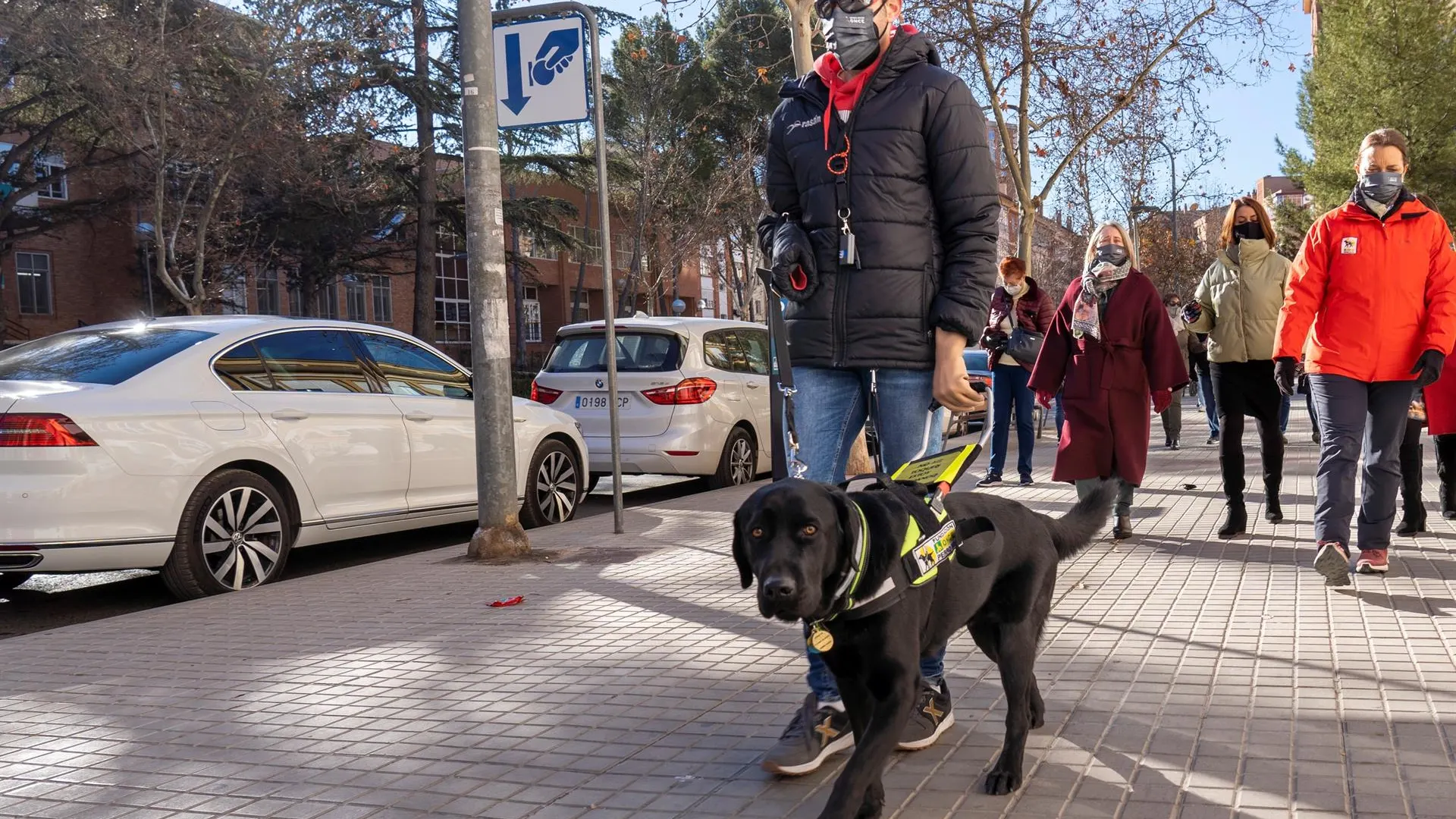 Alberto Villalba pasea con su perro Xabat tras el acto de entrega por parte de la fundación ONCE este miércoles en Teruel. 