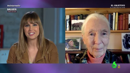 La reflexión de Jane Goodall sobre la pandemia: "Nos la hemos buscado por nuestro maltrato a los animales" La reflexión de Jane Goodall sobre la pandemia: "Nos la hemos buscado por nuestro maltrato a los animales"