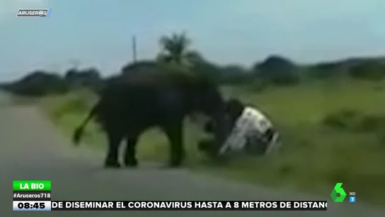 Evelyn Segura Evelyn Segura