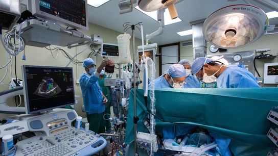 Médicos en un hospital Médicos en un hospital