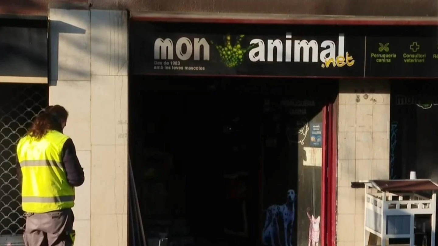 Imagen de la tienda de animales incendiada en Barcelona Imagen de la tienda de animales incendiada en Barcelona