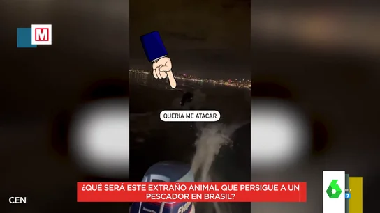 ¿Fake, efecto óptico o realidad? El vídeo de un pescador brasileño que no se creen los zapeadores ¿Fake, efecto óptico o realidad? El vídeo de un pescador brasileño que no se creen los zapeadores