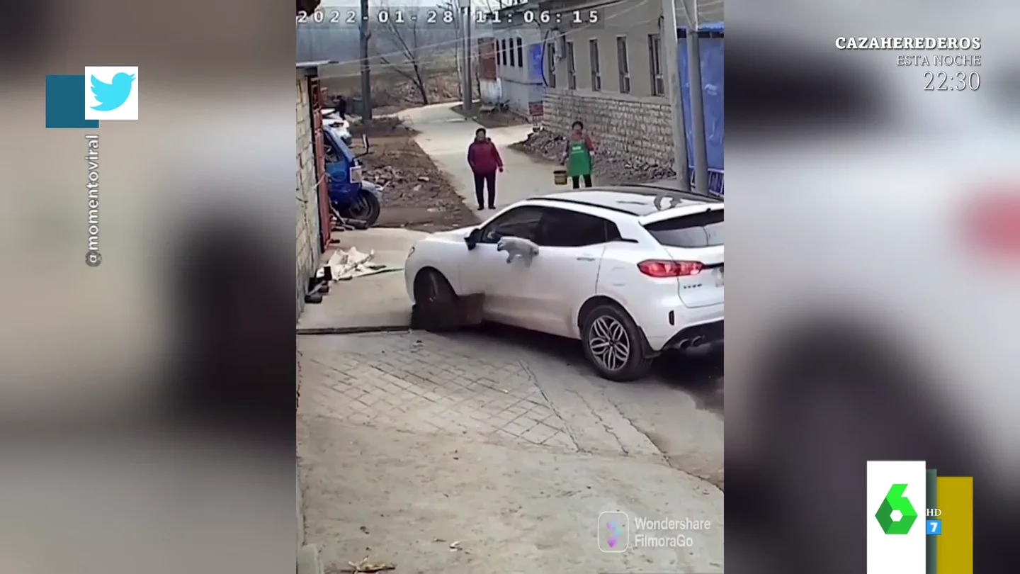 El impactante vídeo de un perro que se choca contra un coche y logra salir ileso El impactante vídeo de un perro que se choca contra un coche y logra salir ileso