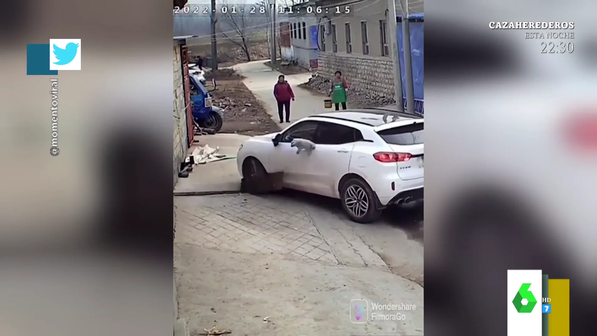 El impactante vídeo de un perro que se choca contra un coche y logra salir ileso