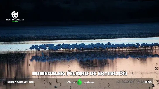 humedales en peligro humedales en peligro