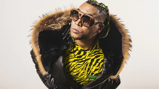 Don Omar interrumpe un concierto al ver que el público no se sabía la letra de una de sus canciones más populares Don Omar interrumpe un concierto al ver que el público no se sabía la letra de una de sus canciones más populares