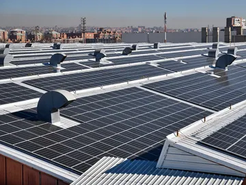 30.000 m2 hacen falta para reducir las emisiones producidas al fabricar coches 30.000 m2 hacen falta para reducir las emisiones producidas al fabricar coches