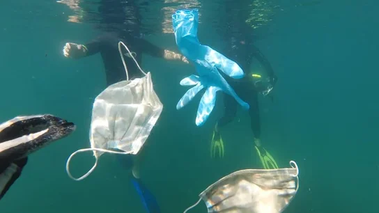 Basura COVID, la otra enfermedad que ataca al planeta Basura COVID, la otra enfermedad que ataca al planeta
