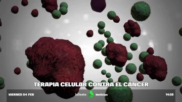 terapia celular cancer