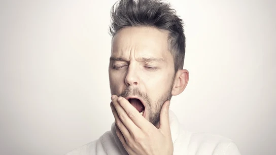 ¿Prefieres dormir la siesta en el sofá, o en la cama? ¿Prefieres dormir la siesta en el sofá, o en la cama?