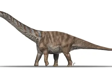 Nuevo dinosaurio Nuevo dinosaurio
