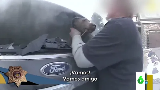 El angustioso rescate a un perro a punto de morir asfixiado en un coche lleno de humo: "¡Vamos, pequeño!" El angustioso rescate a un perro a punto de morir asfixiado en un coche lleno de humo: "¡Vamos, pequeño!"