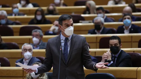 El presidente del Gobierno, Pedro Sánchez, interviene en la sesión de control celebrada por el pleno del Senado El presidente del Gobierno, Pedro Sánchez, interviene en la sesión de control celebrada por el pleno del Senado