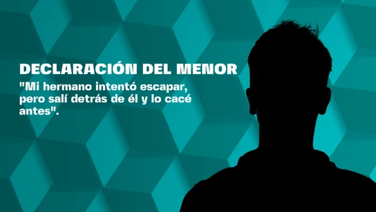 Declaración del parricida de Elche Declaración del parricida de Elche