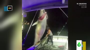  Una pescadora atrapa un gigantesco atún de media tonelada: así tira de él a pulso