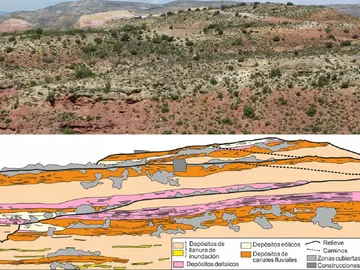 Los dinosaurios gigantes de Teruel y Valencia vivieron en un clima con lluvias monzonicas Los dinosaurios gigantes de Teruel y Valencia vivieron en un clima con lluvias monzonicas