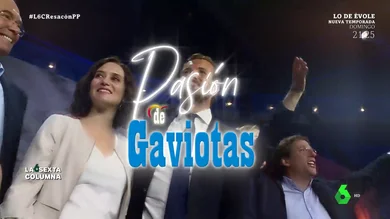 Pasión de Gaviotas Pasión de Gaviotas