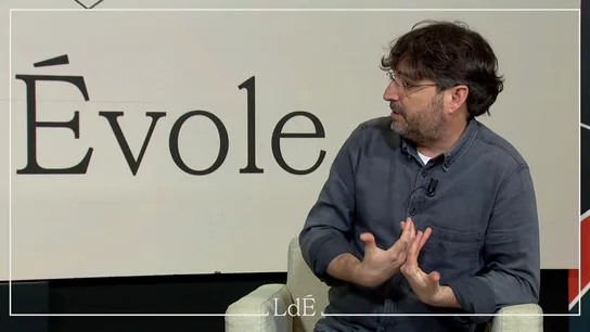 Morad blanquitos Morad blanquitos