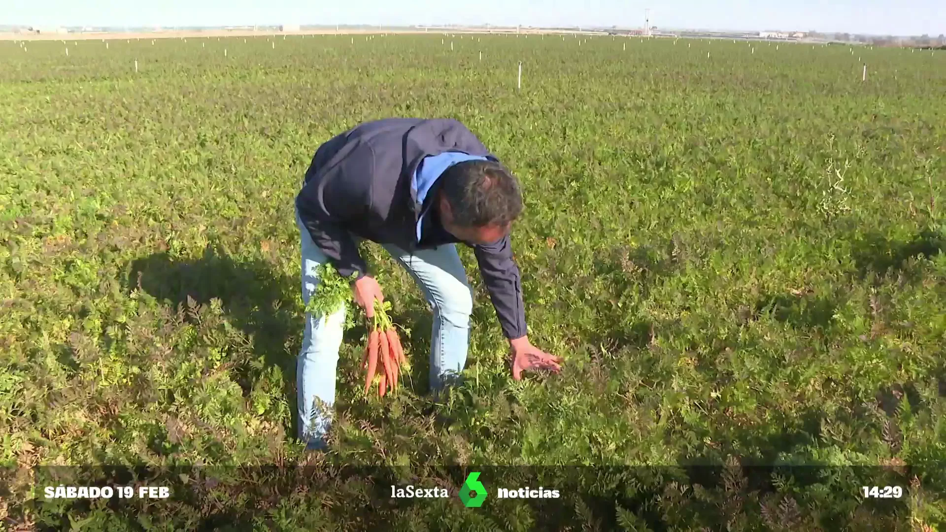 El Ministerio de Agricultura plantea bajar el IVA a los productos ecológicos 