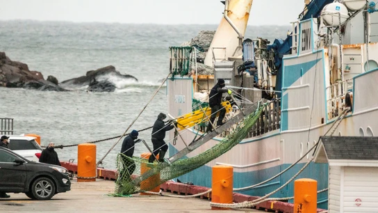 Trabajadores canadienses en el pesquero que transportó a Terranova los tres supervivientes y los siete fallecidos del Villa de Pitanxo Trabajadores canadienses en el pesquero que transportó a Terranova los tres supervivientes y los siete fallecidos del Villa de Pitanxo