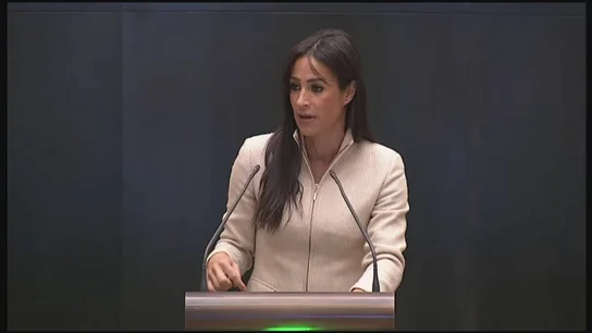 Villacís carga contra al Almeida: "Les vamos a fiscalizar. No vamos a permitir que esto sea el cortijo del PP" Villacís carga contra al Almeida: "Les vamos a fiscalizar. No vamos a permitir que esto sea el cortijo del PP"