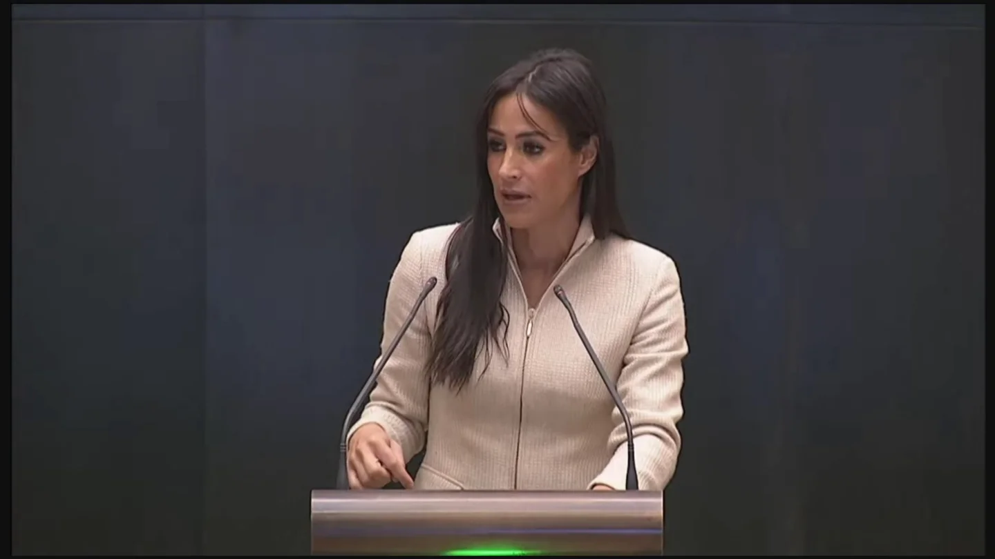 Villacís carga contra al Almeida: "Les vamos a fiscalizar. No vamos a permitir que esto sea el cortijo del PP" Villacís carga contra al Almeida: "Les vamos a fiscalizar. No vamos a permitir que esto sea el cortijo del PP"