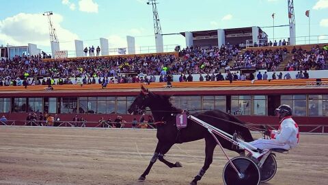 TROT Mallorca