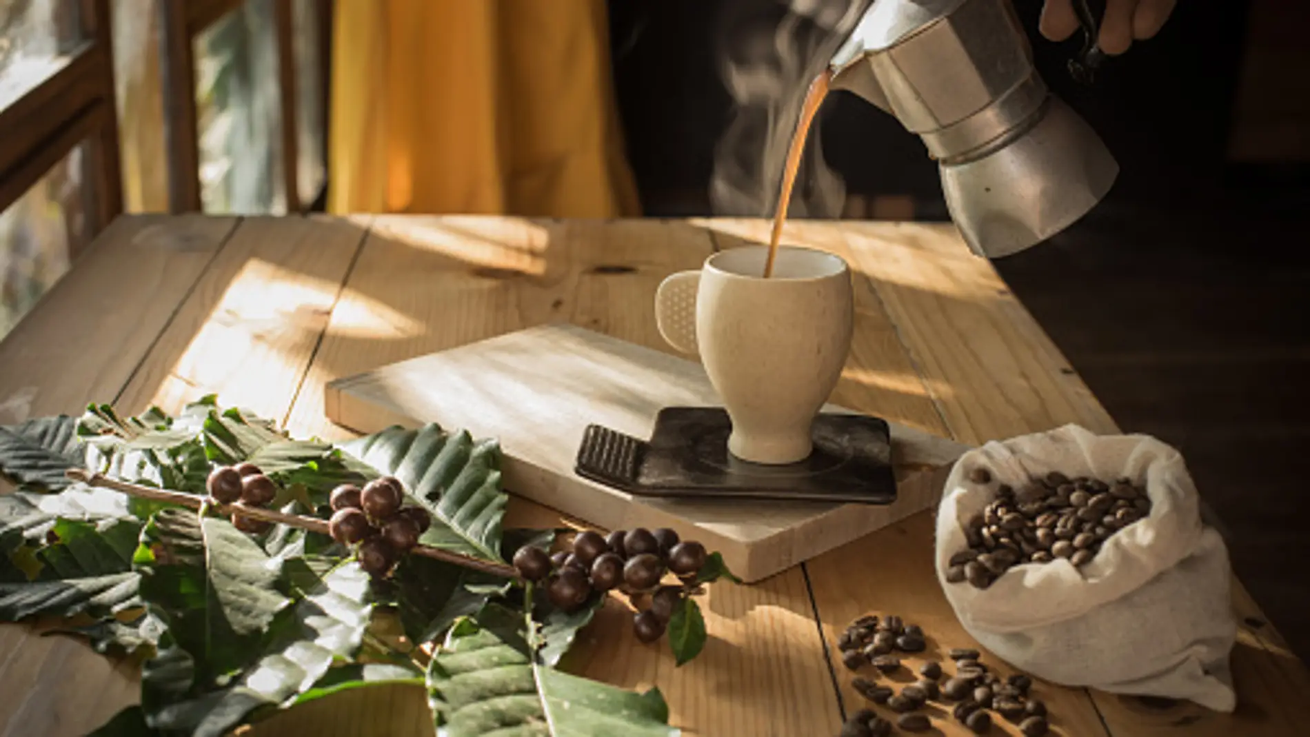 ¿Sabes dónde se produce el café más caro del mundo?
