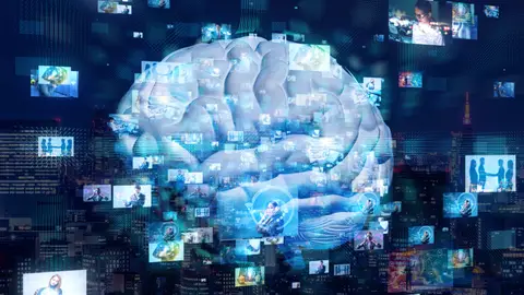 El cerebro no procesa las imágenes a tiempo real El cerebro no procesa las imágenes a tiempo real