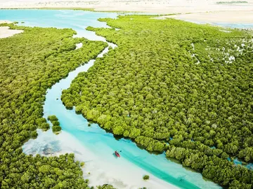 Al Thakira, un humedal y reserva natural de manglares… en Qatar Al Thakira, un humedal y reserva natural de manglares… en Qatar