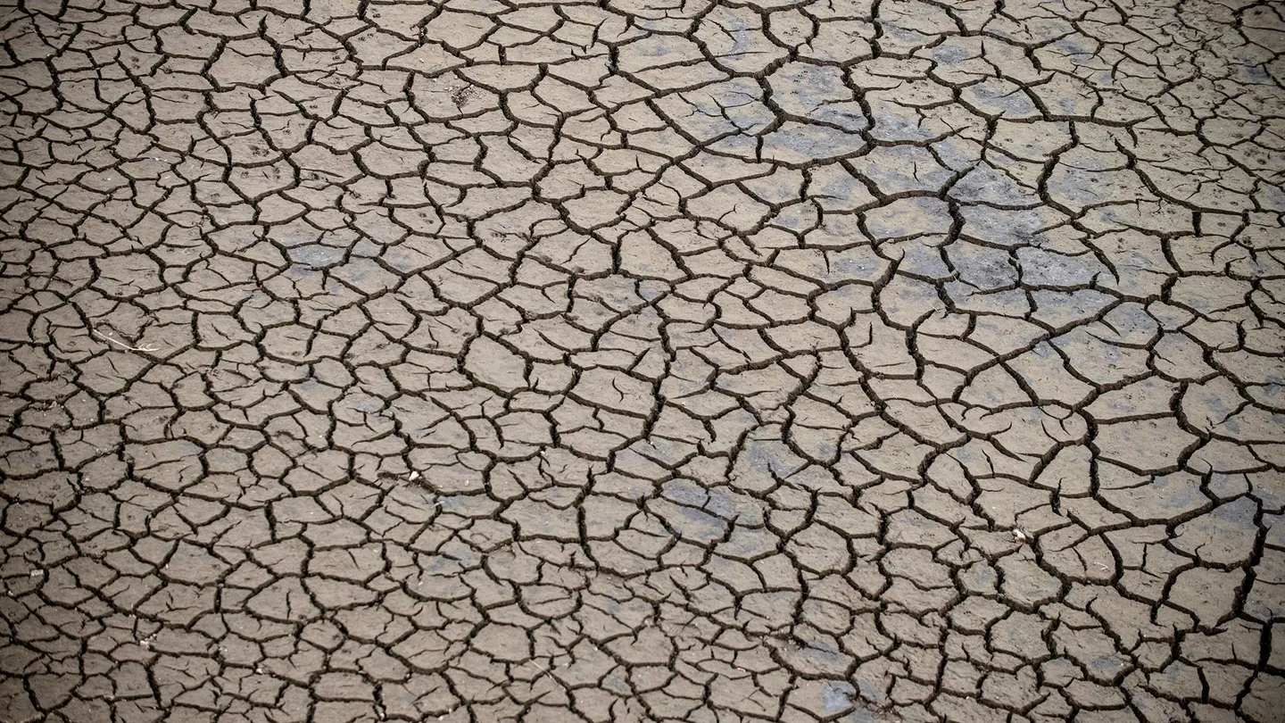 Detalle de la tierra cuarteada por la ausencia de lluvia en el entorno del río Mao, a su paso por el municipio orensano de Montederramo, en una fotografía de archivo. Detalle de la tierra cuarteada por la ausencia de lluvia en el entorno del río Mao, a su paso por el municipio orensano de Montederramo, en una fotografía de archivo.