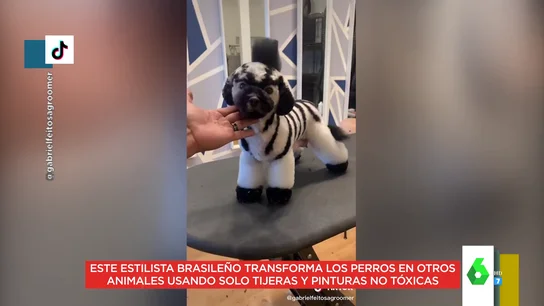oso perro oso perro