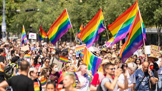Movilización en Viena por el Desfile del Orgullo Gay en Viena Movilización en Viena por el Desfile del Orgullo Gay en Viena