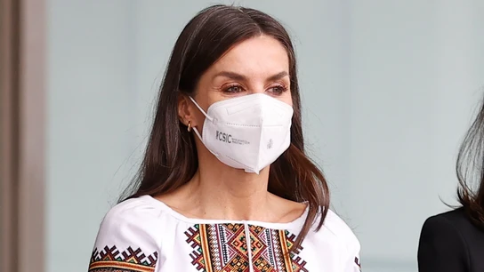 La reina Letizia asiste en la entrega de ayudas a proyectos sociales de la Fundación Mutua Madrileña La reina Letizia asiste en la entrega de ayudas a proyectos sociales de la Fundación Mutua Madrileña