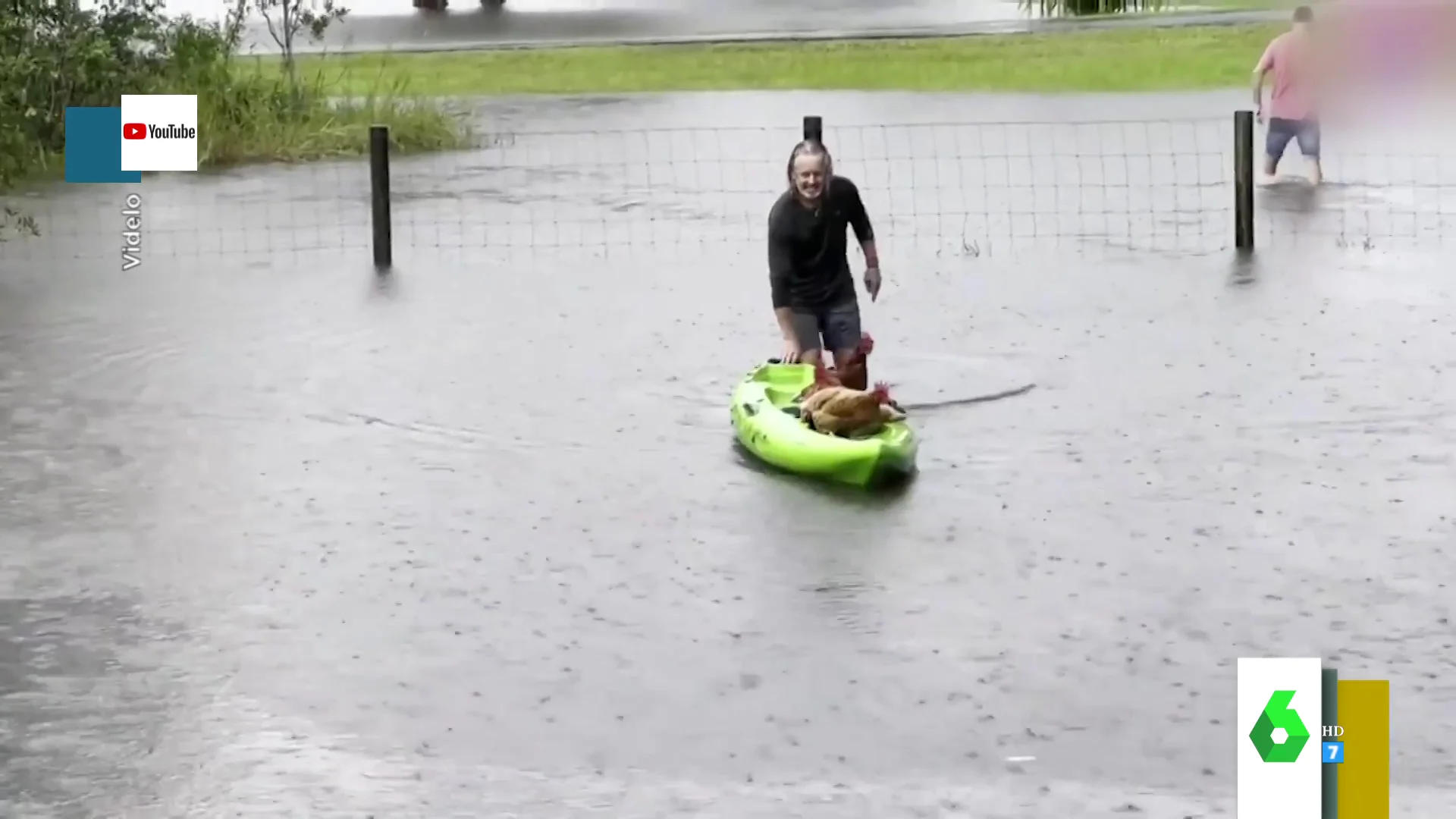 Rescate de gallinas en Australia