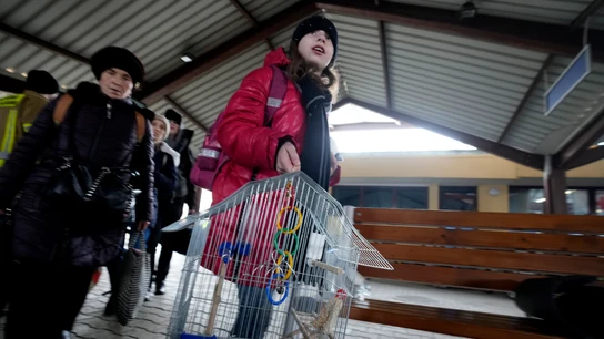 Una niña ucraniana llega junto a su pájaro desde Odesa a Polonia Una niña ucraniana llega junto a su pájaro desde Odesa a Polonia