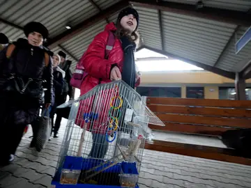 Una niña ucraniana llega junto a su pájaro desde Odesa a Polonia