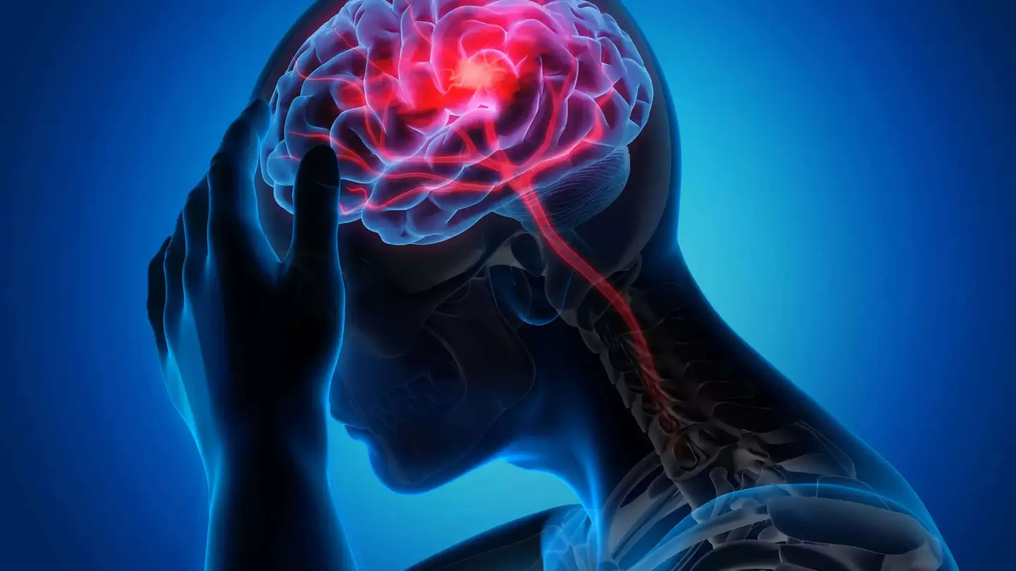 Imagen ilustrativa del cerebro humano Imagen ilustrativa del cerebro humano