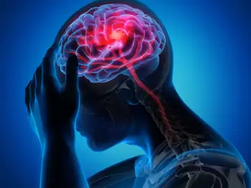 Imagen ilustrativa del cerebro humano Imagen ilustrativa del cerebro humano