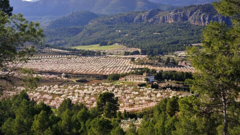 Murcia en primavera