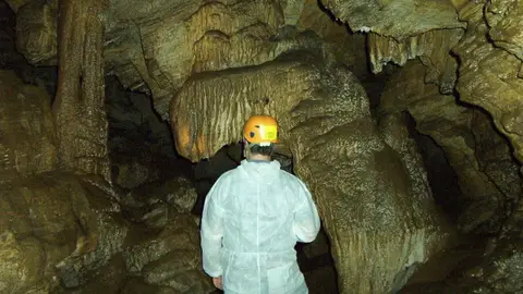 Cueva del Rei Cintolo Cueva del Rei Cintolo