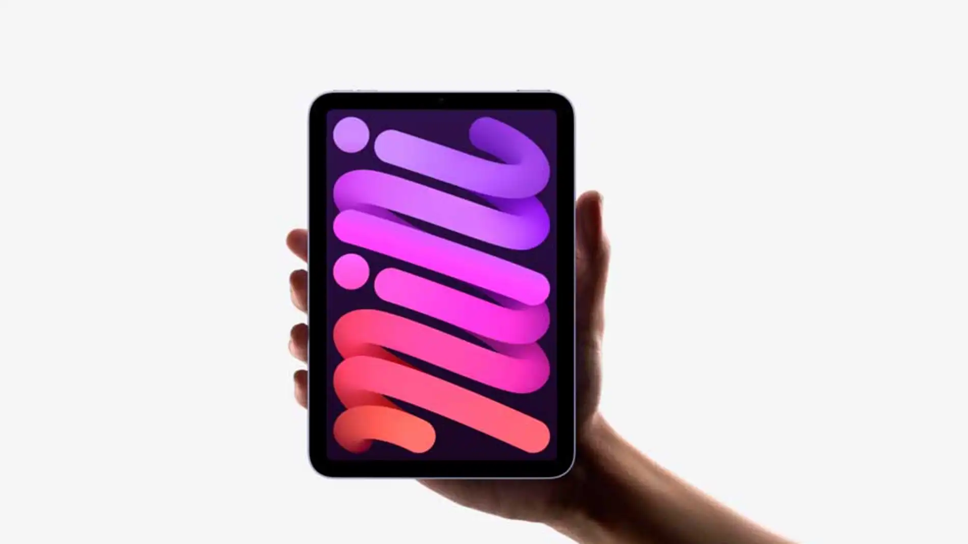 iPad iPad