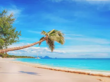 ¿Buscas disfrutar de la playa en el mes de abril? Pon rumbo al Caribe ¿Buscas disfrutar de la playa en el mes de abril? Pon rumbo al Caribe