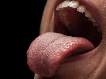 Lengua Lengua
