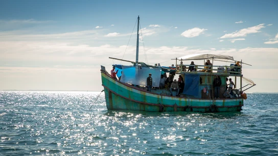 'Safe Harbour' tendrá su versión en español tras el acuerdo entre Buendía Estudios y Universal Internacional Studios 'Safe Harbour' tendrá su versión en español tras el acuerdo entre Buendía Estudios y Universal Internacional Studios