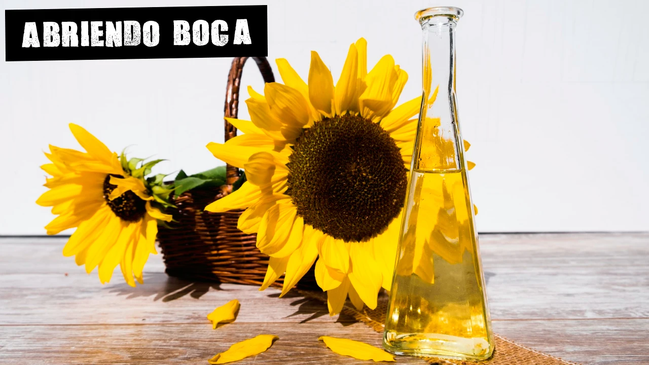 Aceite de girasol: ¿qué otro aceite puede sustituirlo?