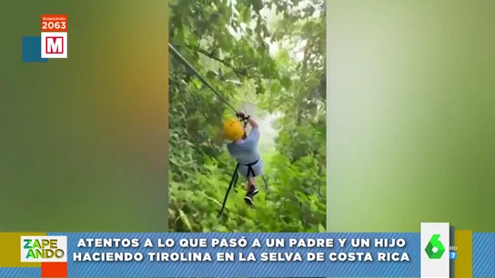 perezoso perezoso